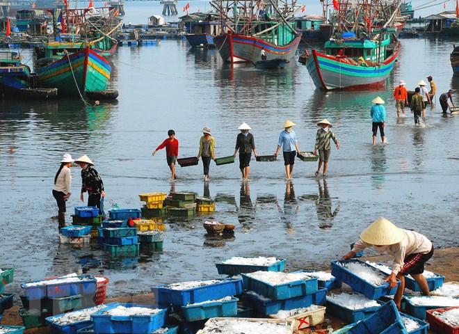 Cảng và dịch vụ hậu cần nghề cá Hải Phòng chưa đáp ứng nhu cầu | Kinh tế |  Vietnam+ (VietnamPlus)