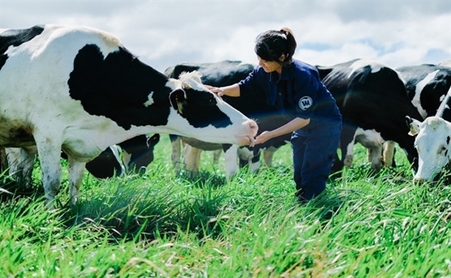 vinamilk va hanh trinh tro thanh nguoi khong lo tai gtnfoods