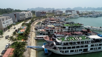 Xu hướng đầu tư bất động sản nghỉ dưỡng phức hợp tại Việt Nam