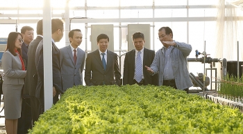 Hà Tĩnh duyệt quy hoạch dự án nông nghiệp công nghệ cao của Tập đoàn FLC