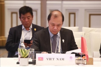 Việt Nam cam kết kế thừa và phát huy các thành tựu của ASEAN
