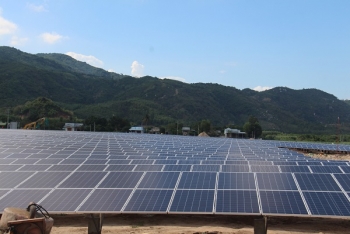 Duyệt dự án Nhà máy điện mặt trời Cam Lâm Việt Nam hơn 1.100 tỷ tại Khánh Hòa