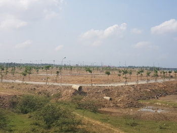 Đà Nẵng: Đất tái định cư thừa cả chục ngàn lô, dân thiếu cả trăm tổ ấm