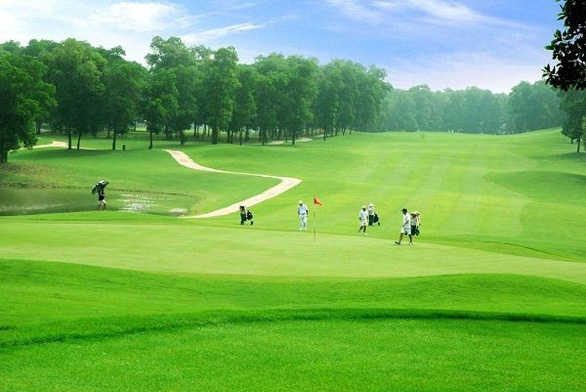 lao cai muon don 60 ha rung lam san golf