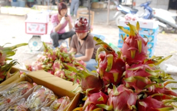 Thương chiến và đường sang Trung quốc của hàng xuất khẩu Việt Nam
