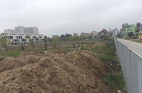 ha lenh thu hoi hon 80000 m2 dat tai ba vi