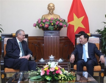 Phó Thủ tướng Phạm Bình Minh tiếp Chủ tịch Nhóm Tầm nhìn APEC