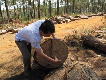 Cách chức Phó Chủ tịch huyện hợp thức hóa đất rừng cho vợ