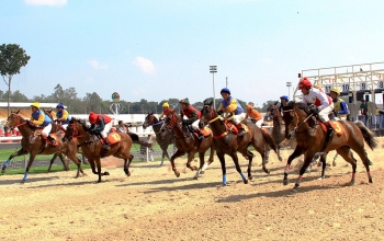 Dự án trường đua ngựa sống lại tại Hà Nội