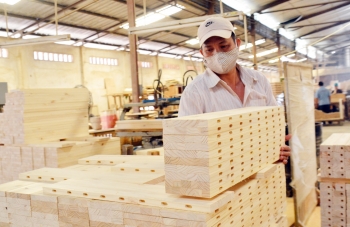 Mừng - lo ngành gỗ Việt