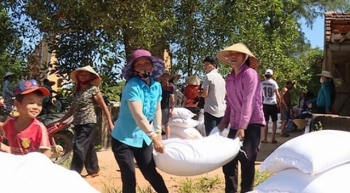 Xuất gạo dự trữ quốc gia cho tỉnh Quảng Bình