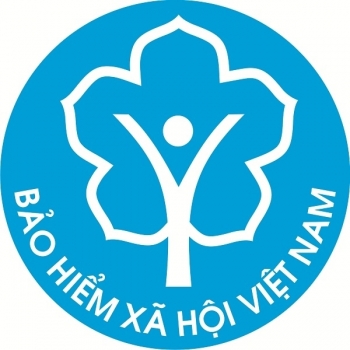 Đề xuất cơ cấu của Bảo hiểm xã hội Việt Nam