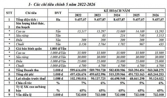 Đầu tư Cao su Đắk Lắk (DRI) dự kiến lợi nhuận năm 2022 giảm 5,7%so với cùng kỳ