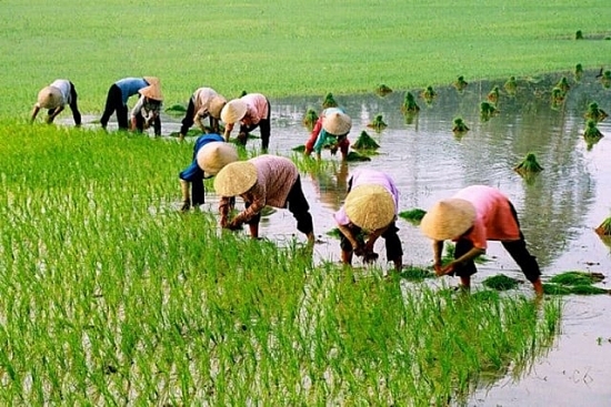 Nông nghiệp Bình Thuận (ABS): Một cá nhân không còn là cổ đông lớn khi bán ra 3,5 triệu cổ phiếu