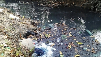 TP Hồ Chí Minh: Hai xưởng giặt ủi xả thải ra môi trường bị phát hiện