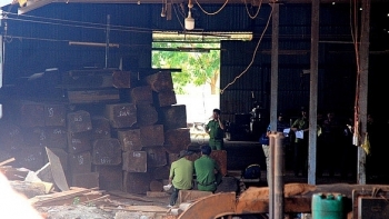 Đắk Nông: Khởi tố Trưởng trạm kiểm lâm nhận hối lộ của trùm gỗ lậu
