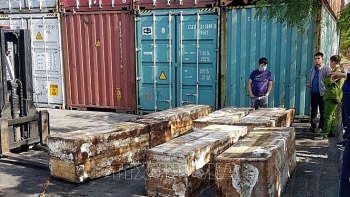 Giấu 1,4 tấn vảy tê tê và hơn 100 kg ngà voi trong container