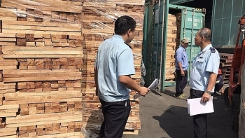 Khởi tố doanh nghiệp xuất lậu 25 container gỗ