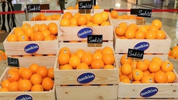Cam là loại trái cây thứ 6 của Mỹ được nhập khẩu chính ngạch về Việt Nam