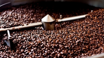 Giá cà phê hôm nay 14/1: Giảm mạnh 700 đồng/kg