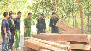 Bắt tạm giam 3 cán bộ trong vụ phá rừng quy mô lớn ở Đắk Lắk