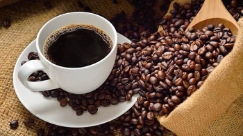 Giá cà phê hôm nay 22/1: Tăng 500 đồng/kg