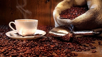 Giá cà phê hôm nay 25/1: Ổn định ngày đầu năm mới