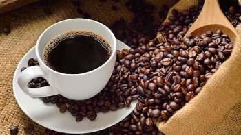 Giá cà phê hôm nay 30/1: Giảm 500 đồng/kg