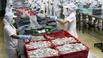 Xuất khẩu nhuyễn thể hai mảnh vỏ Việt Nam giảm 10% năm 2018