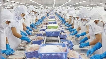 Việt Nam tăng xuất khẩu mực chế biến sang Hàn Quốc