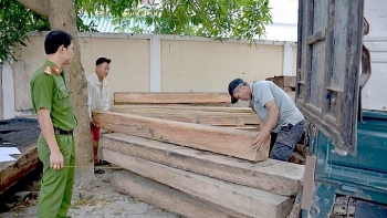 Quảng Nam: Phát hiện gỗ lậu trên xe chở phế liệu