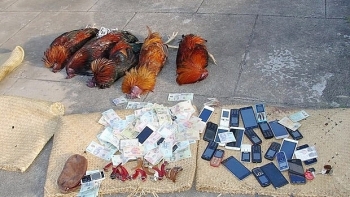 Gia Lai: Triệt phá tụ điểm đá gà ăn tiền trong khu du lịch sinh thái