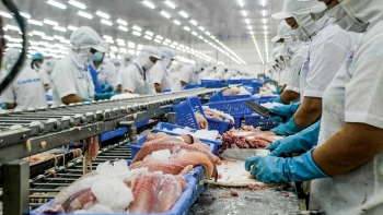 Giá cá tra Việt Nam có thể giảm dần vào năm 2019