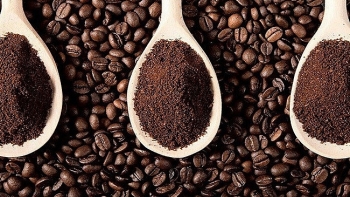Giá cà phê hôm nay 10/3: Ổn định