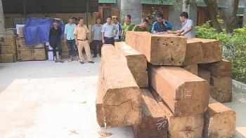 Đắk Lắk: Bắt giữ xe tải chở gỗ lậu có nhiều biển số giả