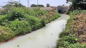 Đà Nẵng đề xuất xử lí công ty xả trộm nước thải ra môi trường