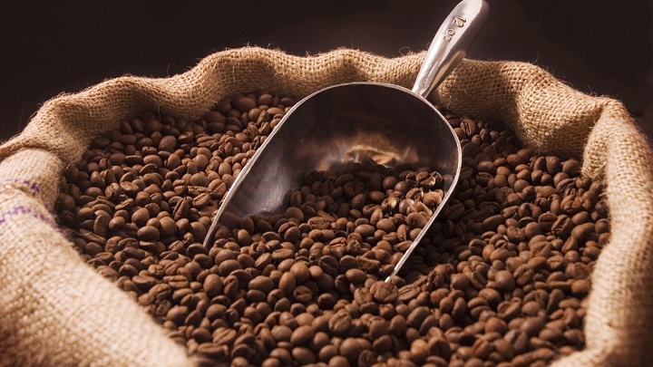 Giá cà phê hôm nay 19/3: Tăng 300 đồng/kg