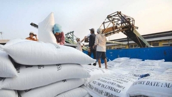 Tạm dừng xuất khẩu gạo từ 24/3 do ảnh hưởng dịch COVID-19