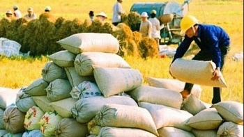 Xuất khẩu gạo sang Trung Quốc tăng vọt trong hai tháng đầu năm
