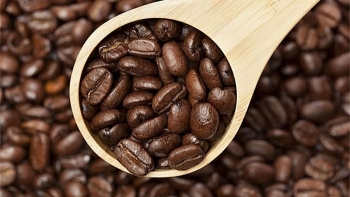 Giá cà phê hôm nay 31/3: Tăng nhẹ