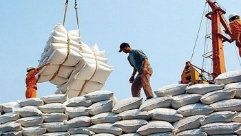 Cho phép xuất khẩu 400.000 tấn gạo trong tháng 4