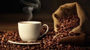 Giá cà phê hôm nay 3/4: Tiếp tục giảm