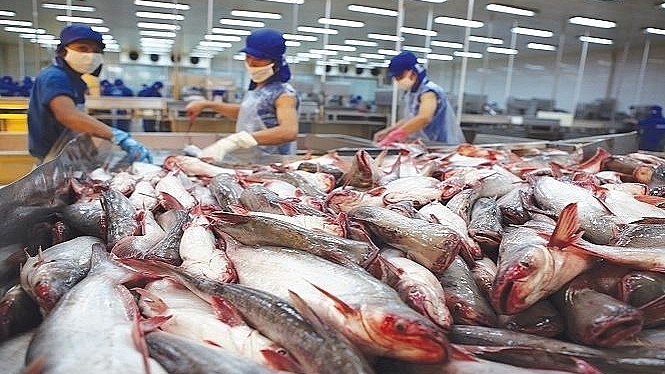 Xuất khẩu cá tra Việt Nam sang Anh đầu năm tăng