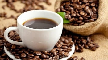 Giá cà phê hôm nay 20/4: Tăng nhẹ