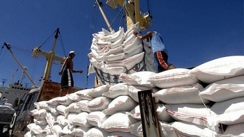 Giá gạo tăng lên mức cao nhất trong gần 16 tháng