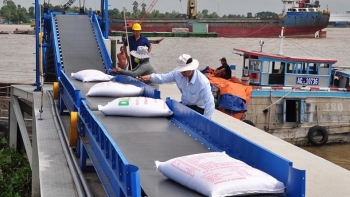 Thủ tướng đồng ý phương án xuất khẩu 400.000 tấn gạo trong tháng 4