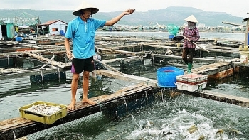 TP.HCM: Phát hiện cơ sở sản xuất thuốc nuôi trồng thủy sản giả