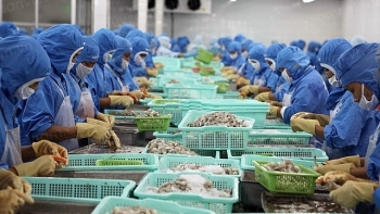 ASEAN – Thị trường xuất khẩu tiềm năng của tôm Việt Nam
