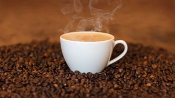 Giá cà phê hôm nay 12/5: Tăng 400 đồng/kg