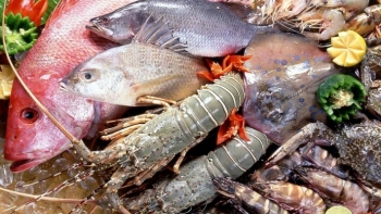 EU dời đợt kiểm tra “thẻ vàng” hải sản Việt Nam vào tháng 11